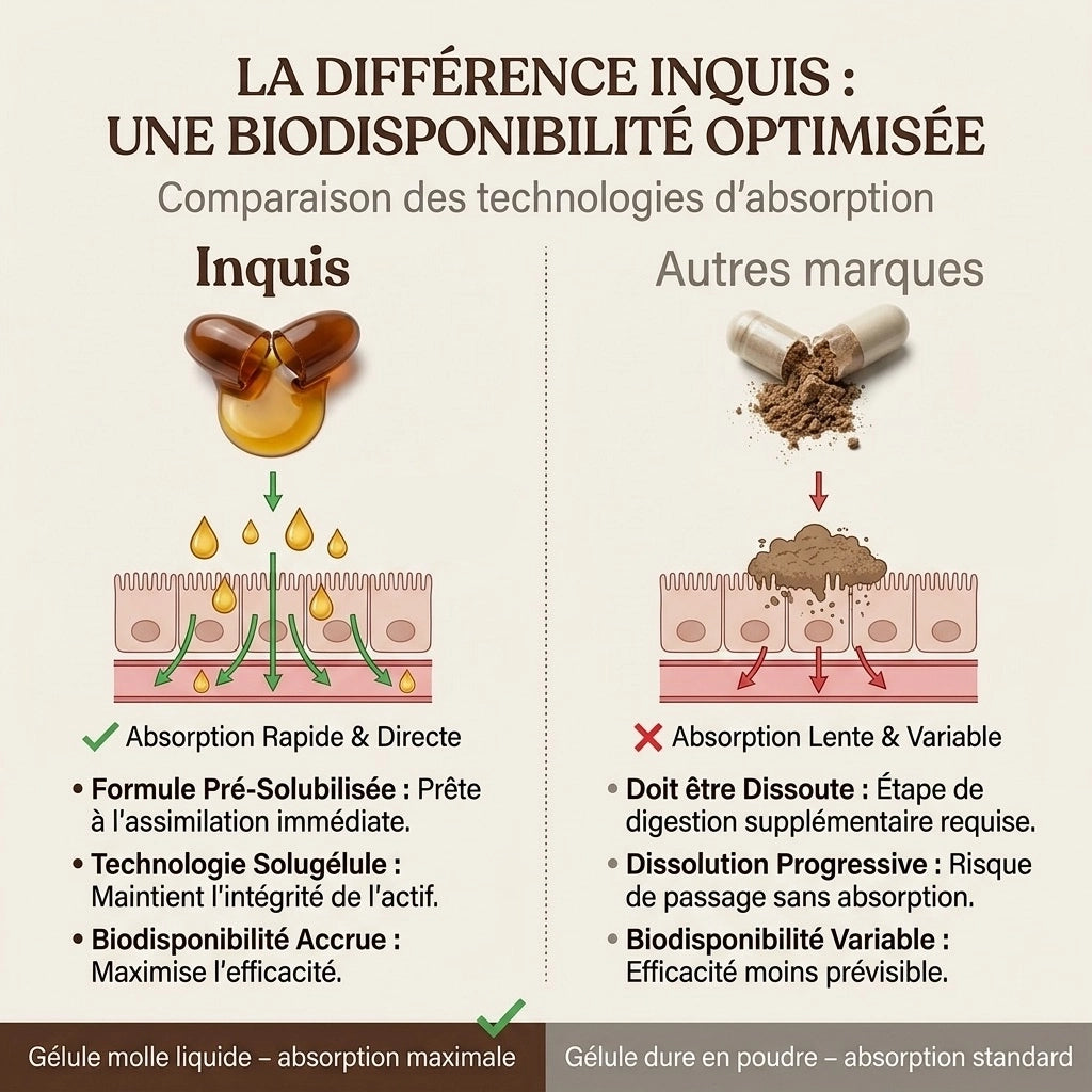 Cannelle de Ceylan pour soutenir une glycémie saine